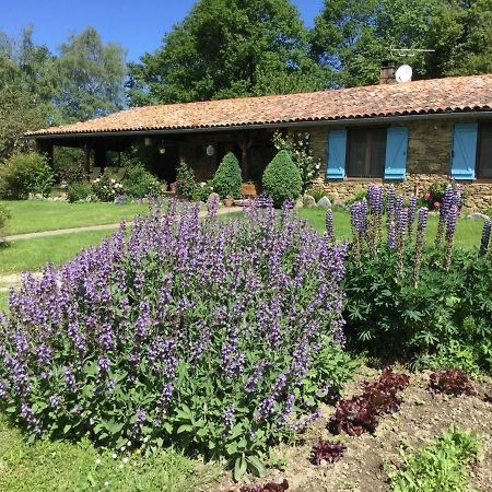 La Serre De Marou Montferrier Exterior photo