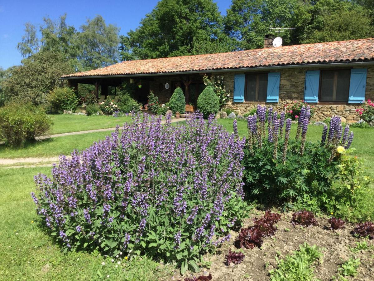 La Serre De Marou Montferrier Exterior photo